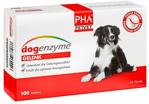 dogenzyme Gelenk 100 St Filmtabletten magensaftresistent