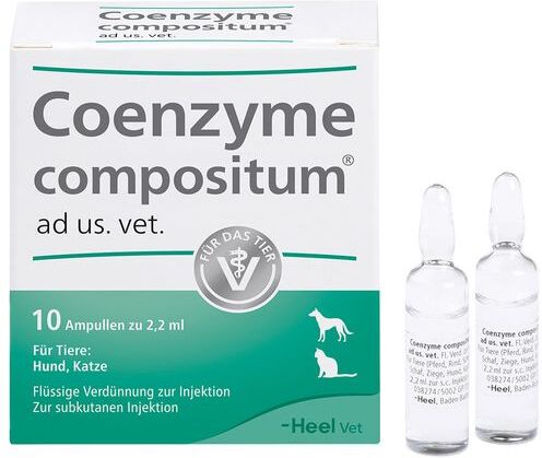 Heel Coenzyme compositum® ad us. vet. 10 St Ampullen