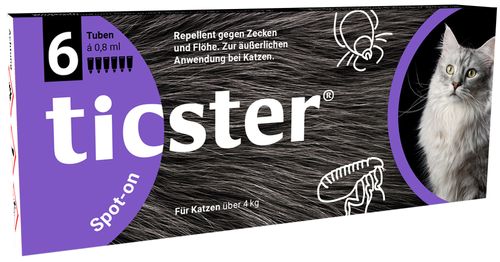 O'ZOO GmbH ticster® Spot-on für Katzen 6X0,8 ml Lösung