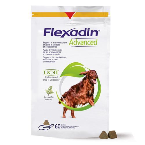 O'ZOO GmbH Flexadin® Advanced 1X60 St Kautabletten