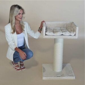 RHR Quality Kradsetrae Ragdoll Lounge