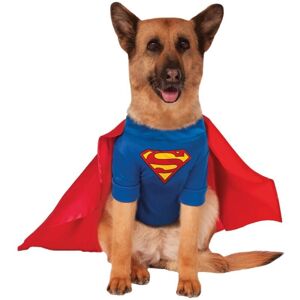 Superman Hundekostume