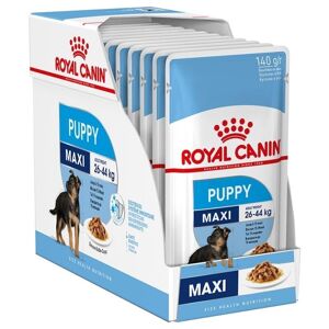ROYAL CANIN SHN Maxi hvalp i sauce - vådfoder til hvalpe - 10x140 g