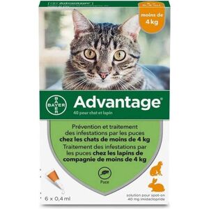 Antiparasitære Advantage Kat Kanin 1-4 Kg 0,4 ml 6 enheder