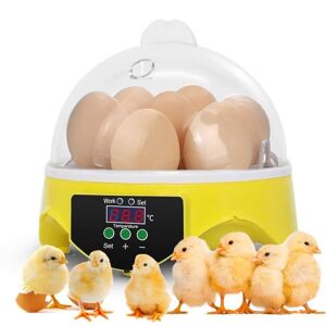 BayOne Æggeuge maskine 7 æg med æglampe