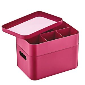 MSY 2 Layer Multipurpose Organizer Box, Pink