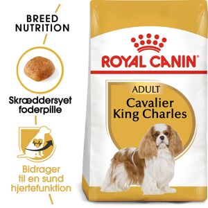 Royal canin Leverandør Royal Canin Cavalier King Charles Adult 7,5kg