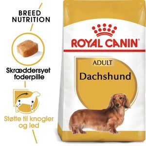 Royal canin Leverandør Royal Canin Dachshund Adult 1,5kg, Gravhund