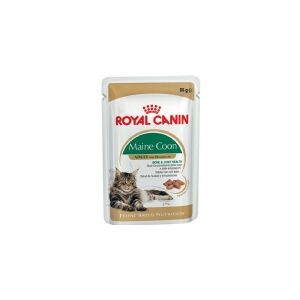 Royal Canin Maine Coon vådfoder i sauce til voksne Maine Coon katte 12x85g