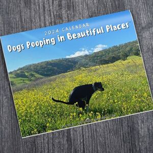 Jettbuying 2024 e Funny Dog Pooping In Beautiful Places Vægkalender Uniq A1 one size