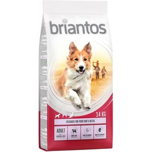 2x14 kg Adult Laks & Ris Briantos - Hundefoder