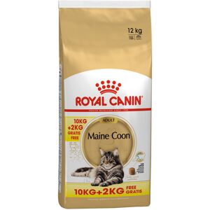 Royal Canin Breed 10+2kg Maine Coon Adult Royal Canin Feline/Breed Kattemad