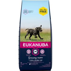 15 + 3 kg gratis Eukanuba Puppy Large Breed Kylling hvalpefoder