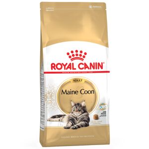 Royal Canin Breed 2x10 kg Maine Coon Adult Royal Canin - Kattefoder