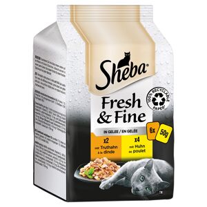 72x50g Fresh & Fine Kylling & Kalkun i sauce Sheba kattemad
