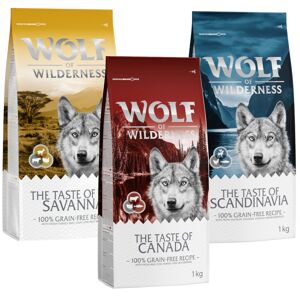 Blandet pakke: Wolf of Wilderness Adult - 