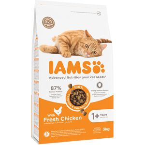 3 kg Adult Chicken Pro Active Health Iams - Kattemad