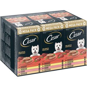 24x150g Terrin Cesar hundefoder