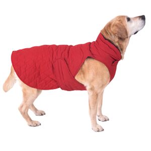 zooplus Exclusive Quiltet hundejakke 70cm ryglængde rød hundtilbehør hund