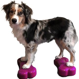 FitPAWS balanceplatform til hunde 2 stk. Mini K9FITbone 29x16,5x6 cm