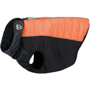 Trespaws Beedle - Dog Jacket Black/ Burnt Orange 2xs