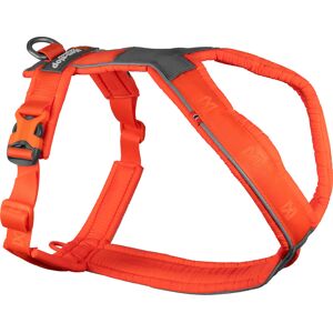 Non-stop Dogwear Line Harness 5.0 orange 6, orange