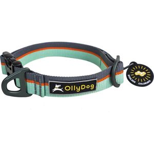 OllyDog Flagstaff Collar  Surf L, Surf