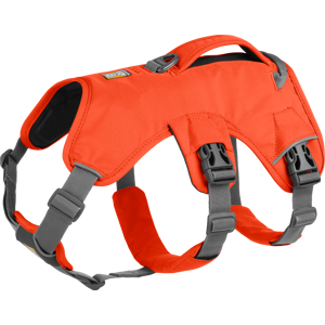 Ruffwear Web Master™ Harness Blaze Orange Large/X-Large, Blaze Orange