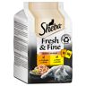 72x50g Fresh & Fine Kylling & Kalkun i sauce Sheba kattemad