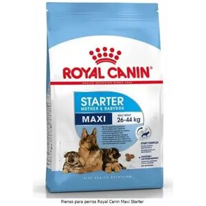 Comida Premium Pienso Perro Royal Canine Starter Maxi 15Kg - ROYALCANIN