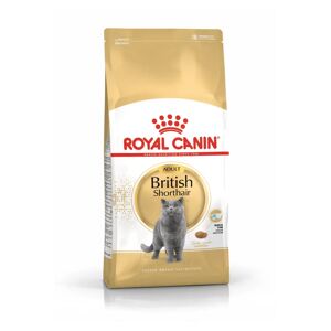 Pienso Premium Gato Royal Feline Adult British Shorthair  10Kg - ROYALCANIN