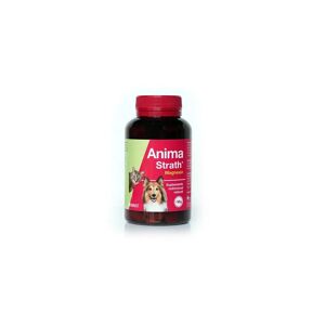 Suplementos Anima Strath Magnesio 240 Comprimidos - STANGEST