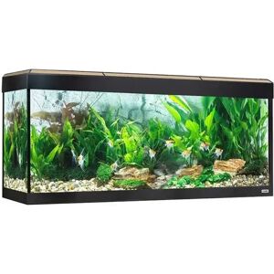 Acuario Fluval Roma Acuario Led Bluetooth 240L Roble 125,5x44x58,5 - FLUVAL