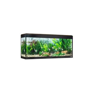 Acuario Fluval Roma Acuario Led Bluetooth 240L Nogal 125,5x44x58,5 - FLUVAL