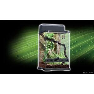 Terrarios Reptiles Exo Terra Habitat Kit Tropical 40.5L S. 30X30X45 - EXO TERRA