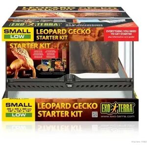 Terrarios Reptiles Exo Terra Gecko Starter Kit - EXO TERRA