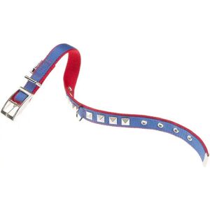 Collares Ferplast Collar Dual Cf15 35  Blue Red - FERPLAST