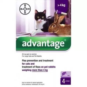 ECUPHAR Advantage 80 Gatos 4 Pipetas (+ 4 Kg)