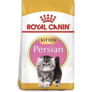 Royal Canin Gato Kitten Persian 10 Kg