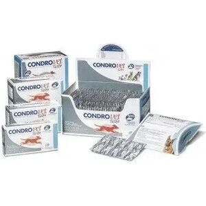 ECUPHAR Condrovet Taste Perros 500 Comprimidos