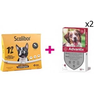 Pack Scalibor 48 Cm + Advantix (10-25 Kg) 8 Pipetas