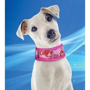 COMPLEMENTOS Collar Refrigerante Para Perros S - Rosas