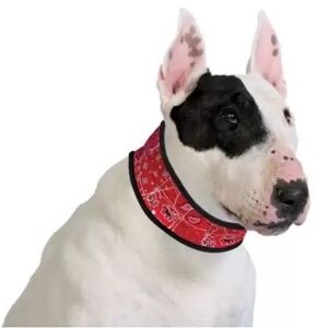 COMPLEMENTOS Collar Refrigerante Para Perros S - Rojo Dibujos