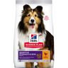 Hill's 12 KG 12 KG Hill’s Science Plan Sensitive Stomach & skin Adult Pollo pienso para perros