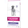 Eukanuba Veterinary Diets Dermatosis FP pienso para perros