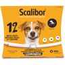 Scalibor Collar Antiparasitario para perros