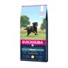 Eukanuba Adult Large Pollo pienso para perros