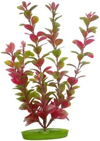 Decoración Acuario Marina Aquascaper Gde. Ludwigia Roja 30 Cm - MARINA