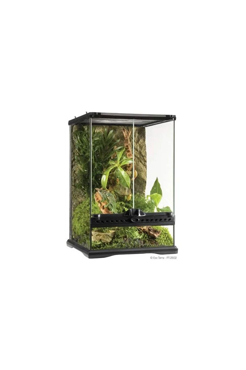 Terrarios Reptiles Exo Terra Terrario Mini/Tall 40,5L 30X30X45Cm - EXO TERRA