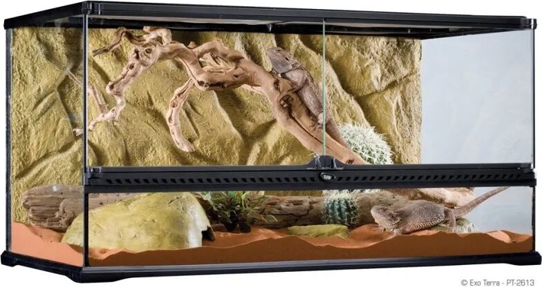 Terrarios Reptiles Exo Terra Terrario L/Wide 182L 90X45X45Cm - EXO TERRA